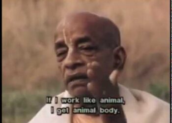 You Are Not this Body | Srila Prabhupada