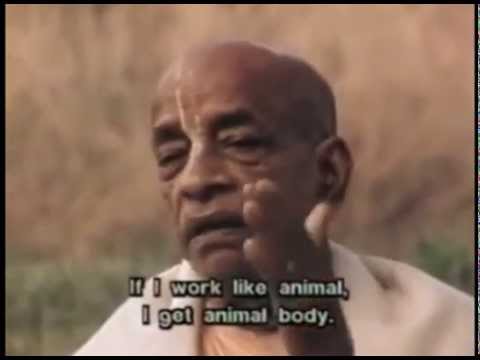 You Are Not this Body | Srila Prabhupada