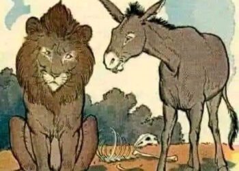 Don’t Argue With Donkeys | Life Lessons