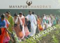 Mayapur Chandra’s Parikrama